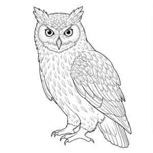 Bagoly színező – Letölthető ingyenes bagoly kifestők gyerekeknek