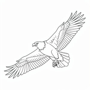 Szálló sas vonalrajz