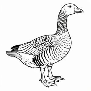 Részletes libás színező nyomtatható fodros magyar lúdról