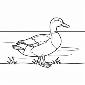 Ingyenes tőkés réce kifestő madárbarát gyerekeknek a kacsás kategória valósághű gyűjteményéből.