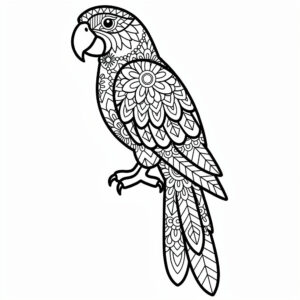 Részletes papagáj zentangle színezőlap kreatív felnőtteknek