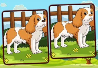 Kutyás különbségkereső